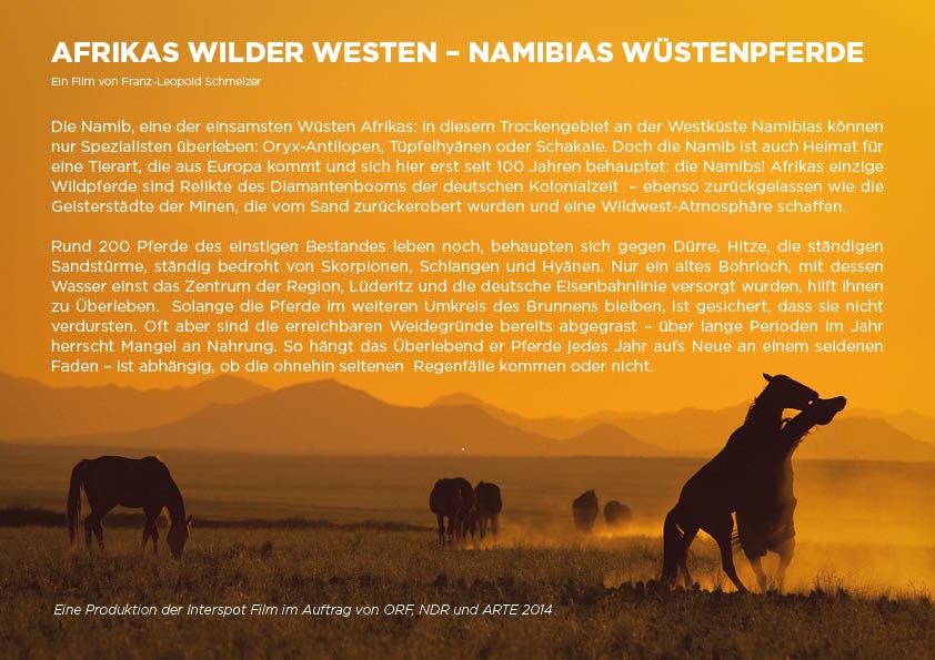 Wuestenpferde in Namibia Filmbeschreibung